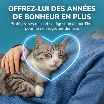 Bio-Digest+ Probiotique pour chats