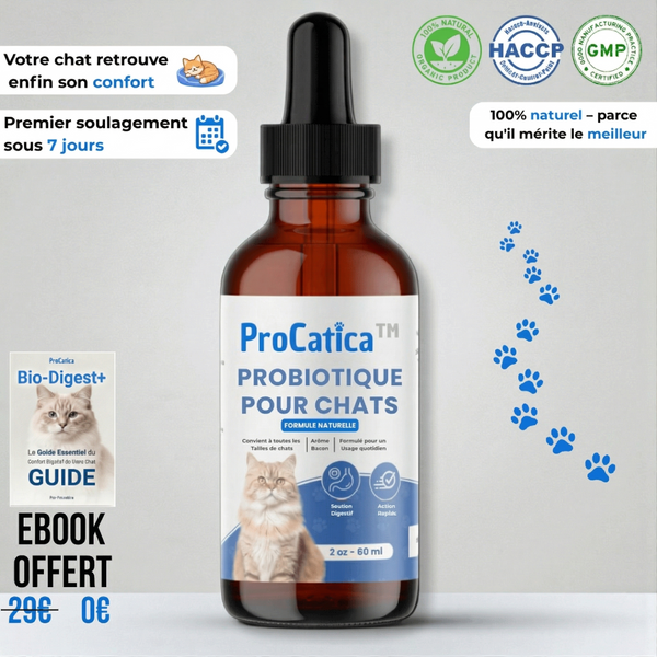 Bio-Digest+ Probiotique pour chats