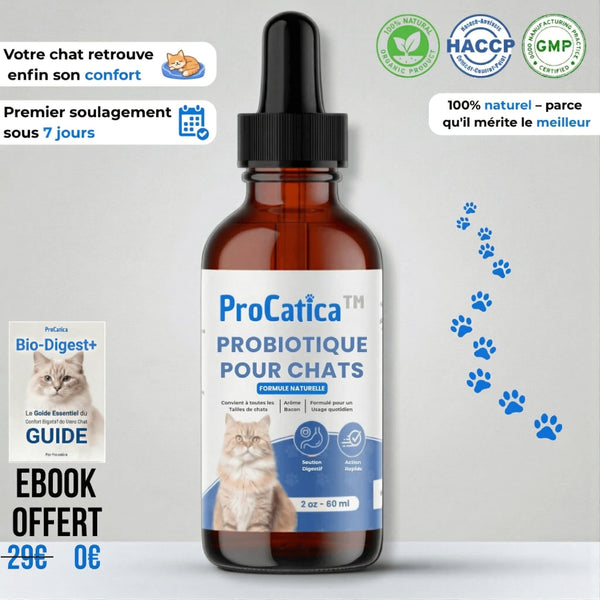 Bio-Digest+ Probiotique pour chats