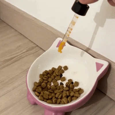 Bio-Digest+ Probiotique pour chats