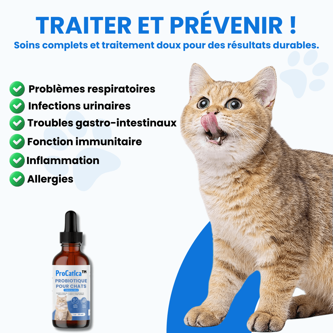 Bio-Digest+ Probiotique pour chats