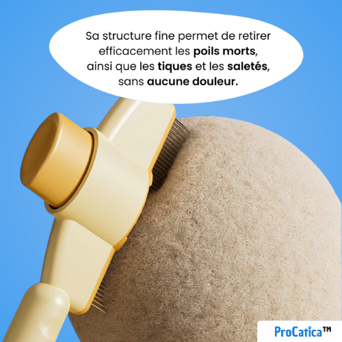 GentleBrush™ – Brosse anti-poils morts