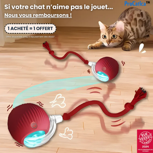 PlayBall™ - Jouet Interactif pour Chats