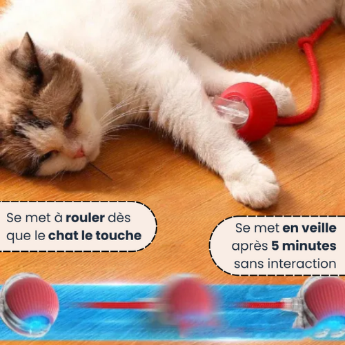 PlayBall™ - Jouet Interactif pour Chats