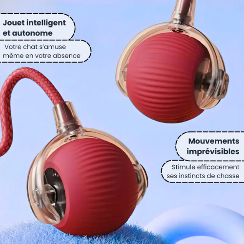 PlayBall™ - Jouet Interactif pour Chats