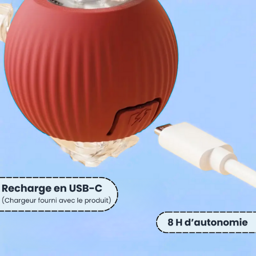 PlayBall™ - Jouet Interactif pour Chats