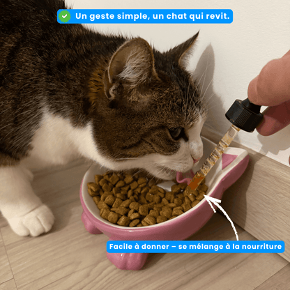 Bio-Digest+ Probiotique pour chats