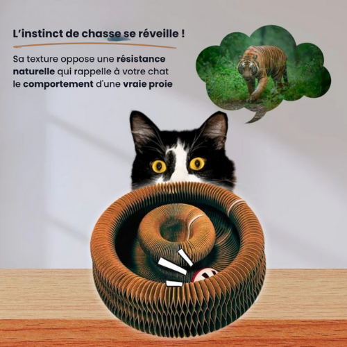 ZenScratch™ | Griffoir interactif pour chats
