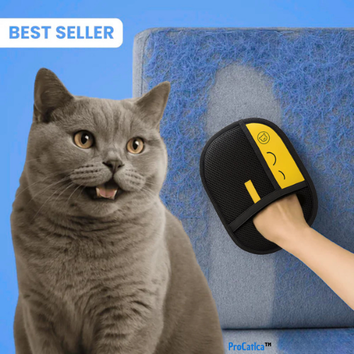 Gant statique anti-poils