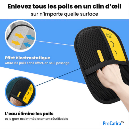 Gant statique anti-poils