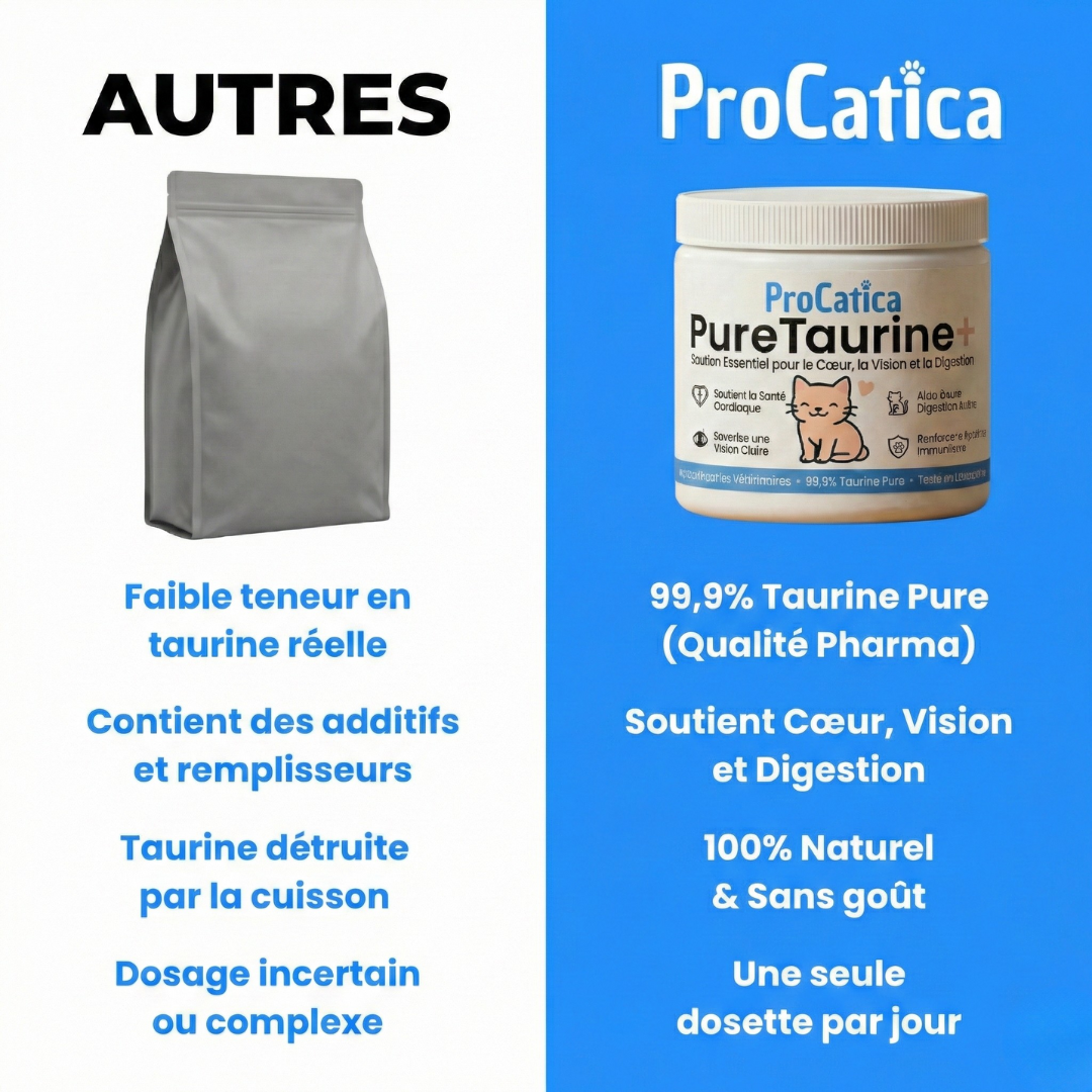 PureTaurine+ - N°1 Recommandé par les Vétérinaires