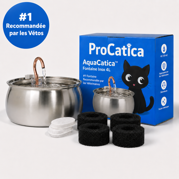 AquaCatica™ — Fontaine Inox 4L