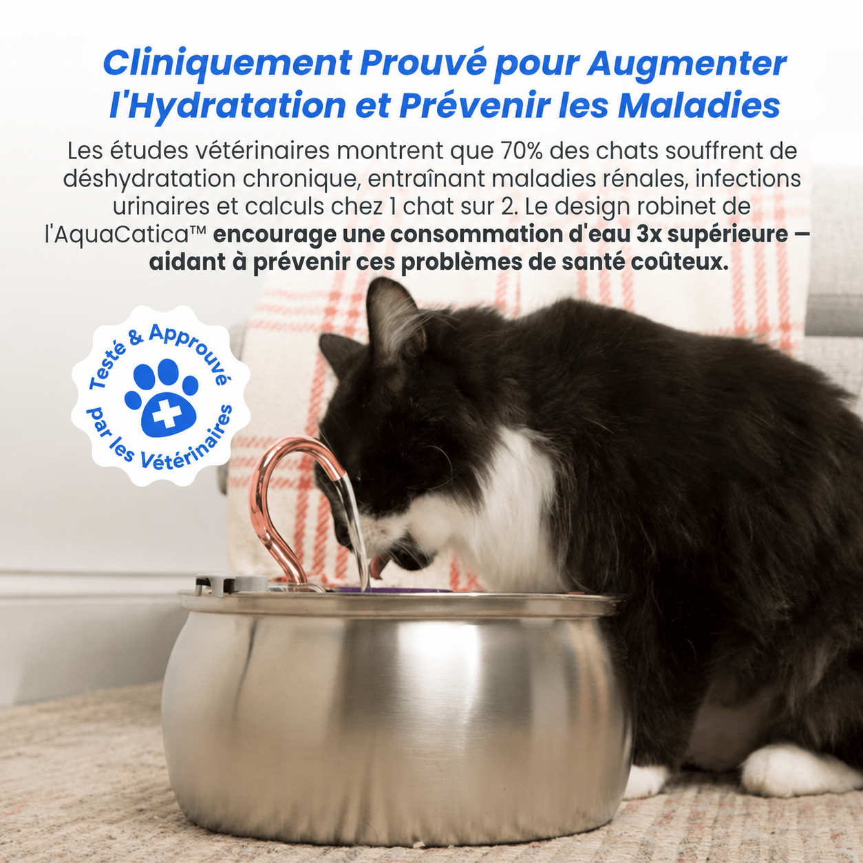 AquaCatica™ — Fontaine Inox 4L