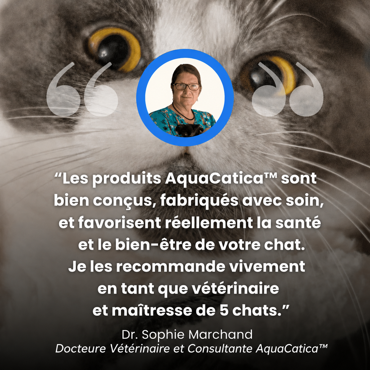 AquaCatica™ — Fontaine Inox 4L