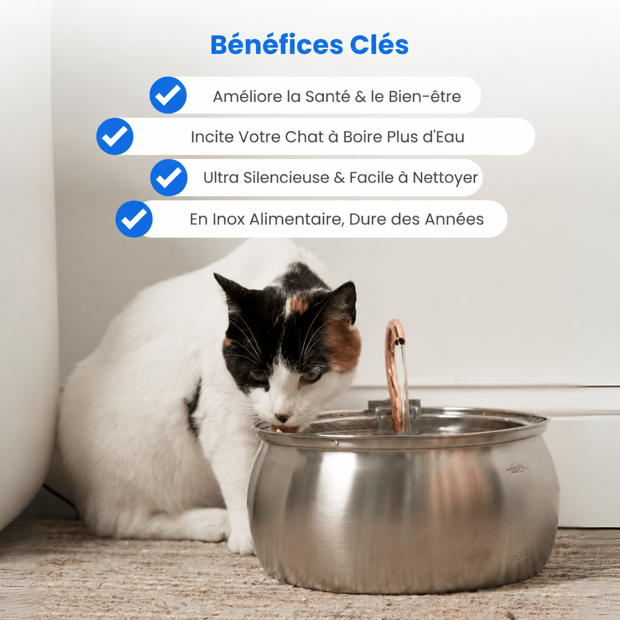 AquaCatica™ — Fontaine Inox 4L