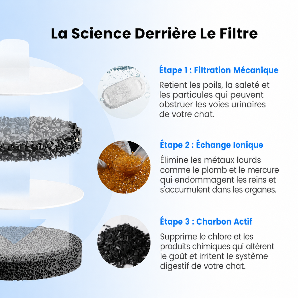 AquaCatica™ — Fontaine Inox 4L