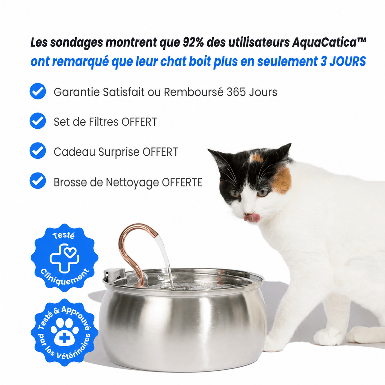 AquaCatica™ — Fontaine Inox 4L