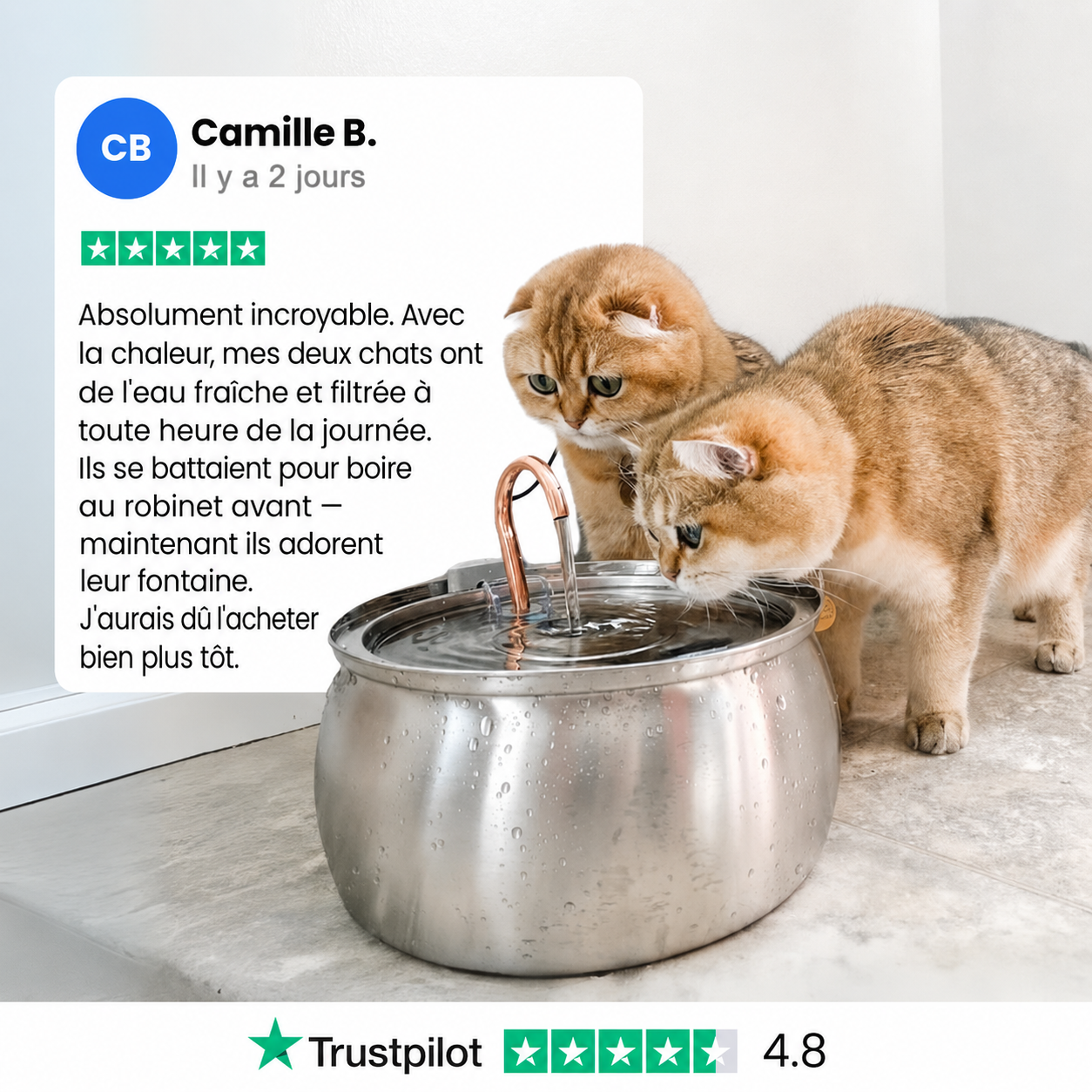 AquaCatica™ — Fontaine Inox 4L