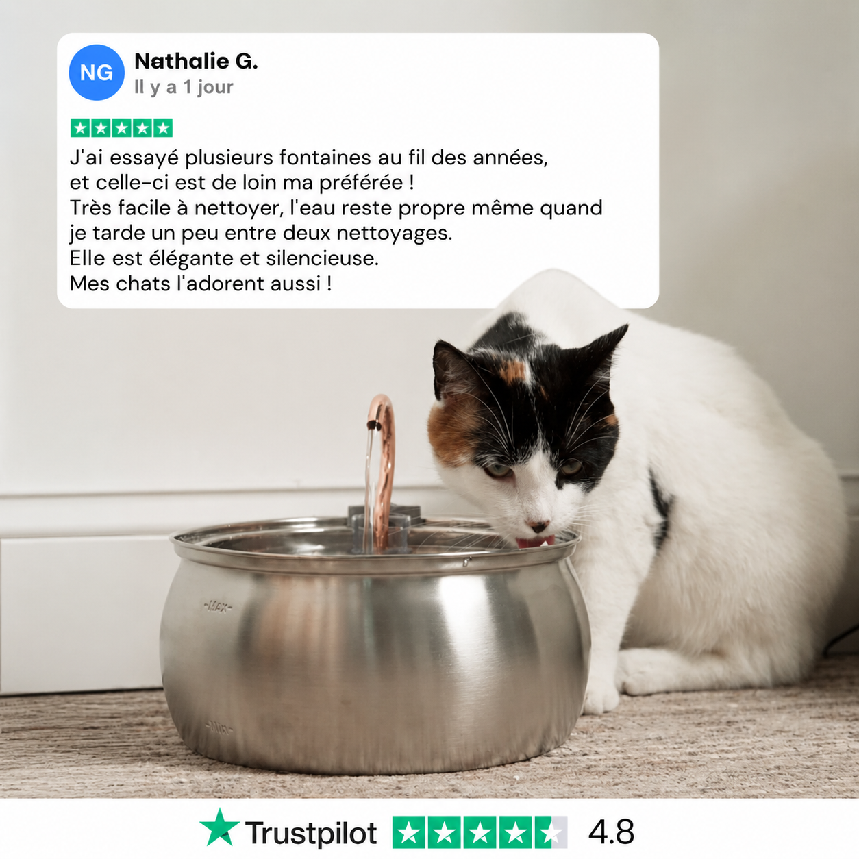 AquaCatica™ — Fontaine Inox 4L