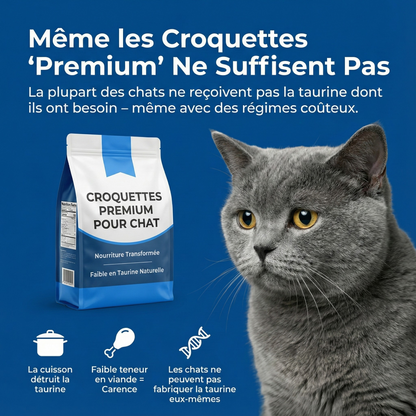 PureTaurine+ - N°1 Recommandé par les Vétérinaires