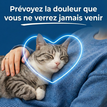 PureTaurine+ - N°1 Recommandé par les Vétérinaires
