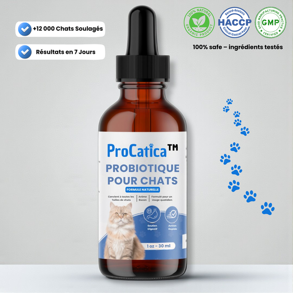 Bio-Digest+™ Probiotique pour chats