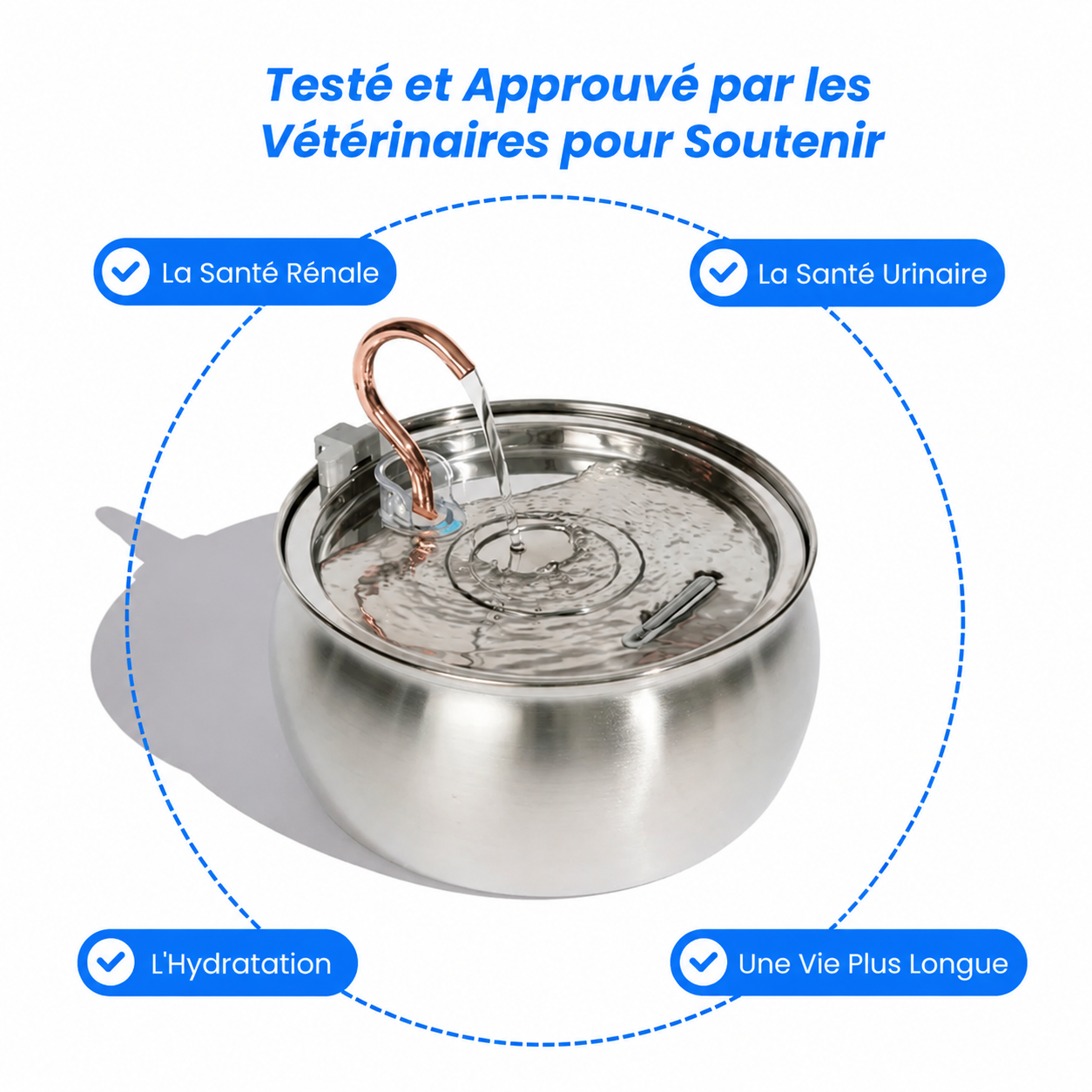 AquaCatica™ — Fontaine Inox 4L