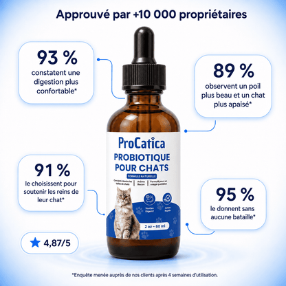 Bio-Digest+ — Gouttes Confort Digestif