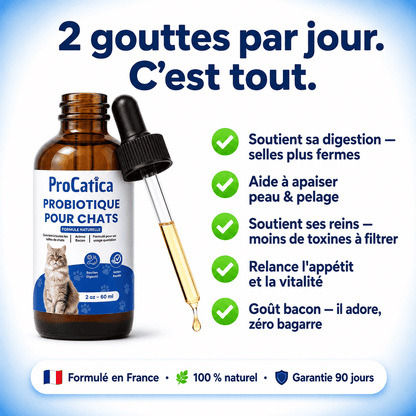 Bio-Digest+ — Gouttes Confort Digestif
