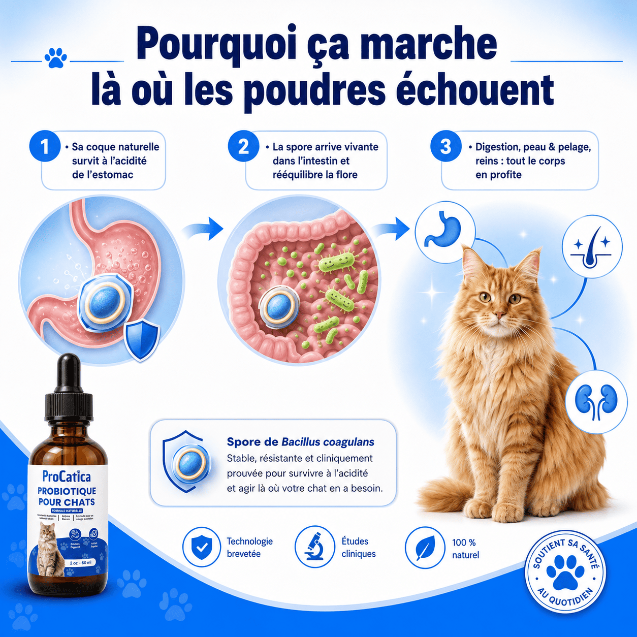 Bio-Digest+ — Gouttes Confort Digestif