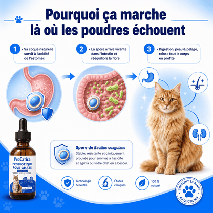 Bio-Digest+ — Gouttes Confort Digestif