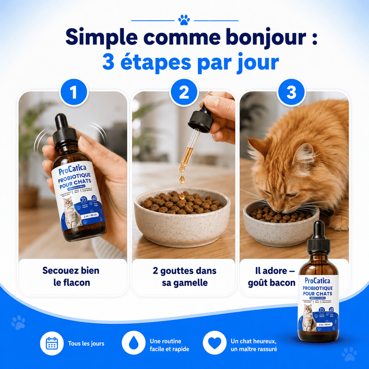 Bio-Digest+ — Gouttes Confort Digestif