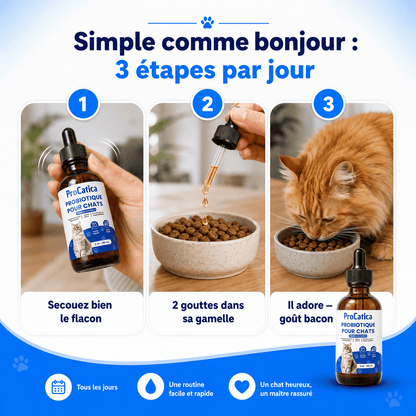 Bio-Digest+ — Gouttes Confort Digestif