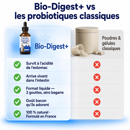 Bio-Digest+ — Gouttes Confort Digestif